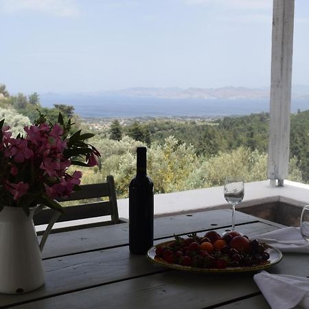 Παραδοσιακό Σπίτι Villa Asfendiou ภายนอก รูปภาพ